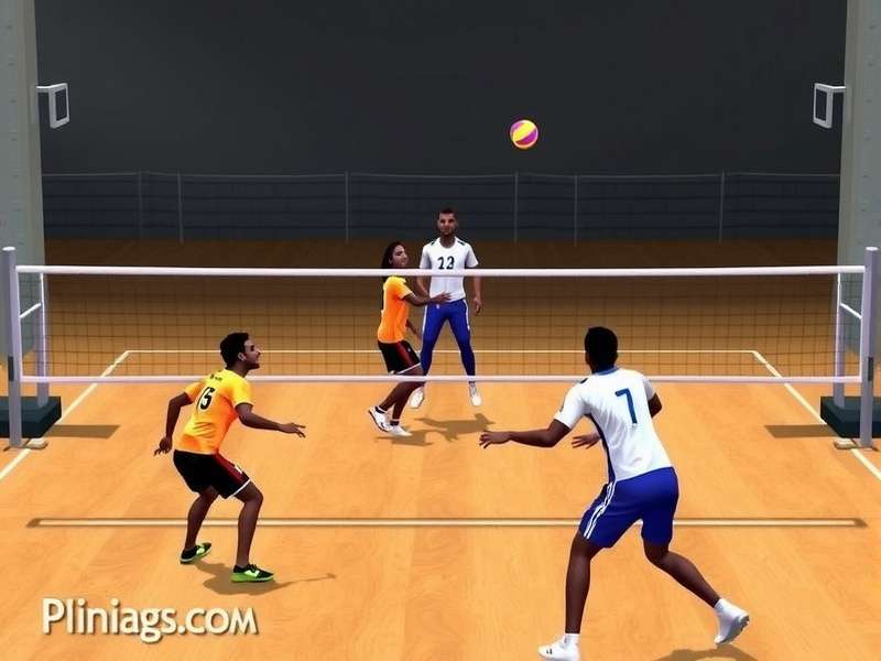 Indian Volley Maestro Community Event